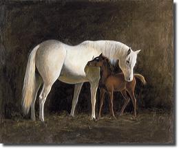Mare and Colt by Robert Cook