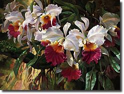 Cattleya Magnificent by Leon Roulette